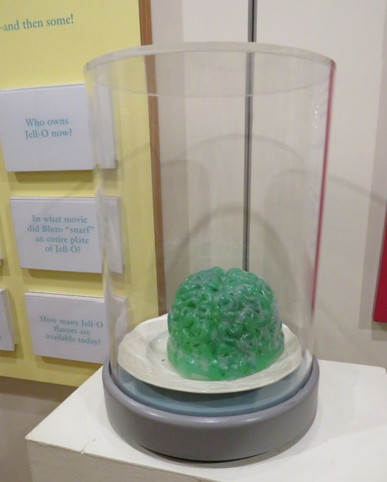 A Jell-O brain in a weirdly tall, cylindrical glass case.