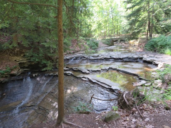 A creek flowing down some jutting strata.