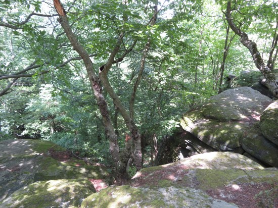 At left, a trail into the shady woods. At right, a pile of big flat rocks.