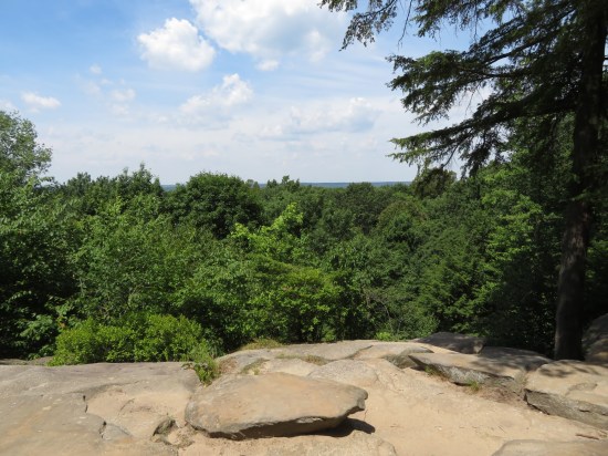 That rocky ledge and the tops of tall trees behind it, obscuring the Ohio skyline.