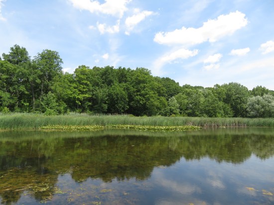 Same lake but uncovered so the nearby trees reflect nicely in its surface.