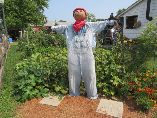 A basketball-headed scarecrow in front of a modest garden.