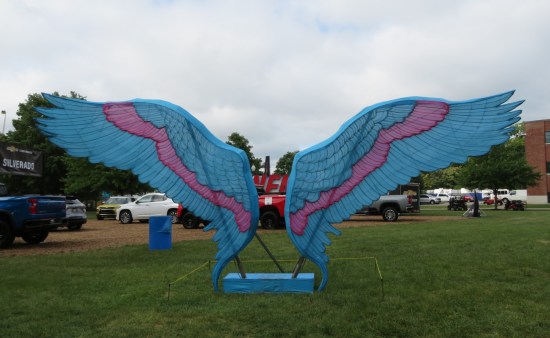 A pair of blue human-sized plastic-feathered wings with a lavender stripe across the span, mounted out in the middle of a grassy field.