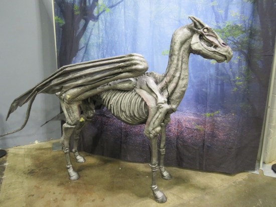 A thestral (skeleton horse) from the Harry Potter series.