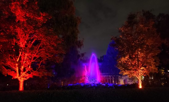 Nighttime view of a purple-lit fountain and two trees on either side covered in red lighting.