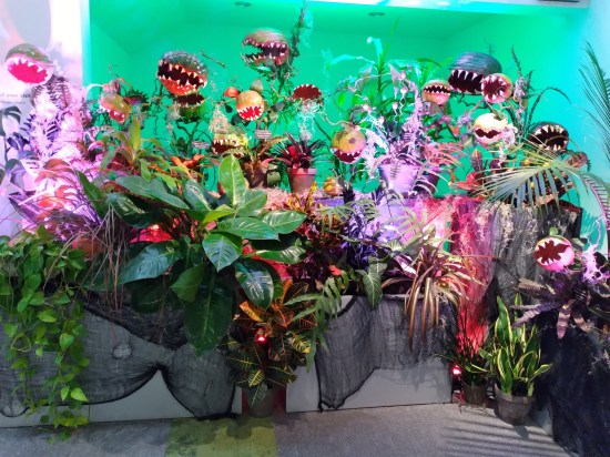 A wall collection of artificial, cartoonishly mean-looking Venus fly traps.