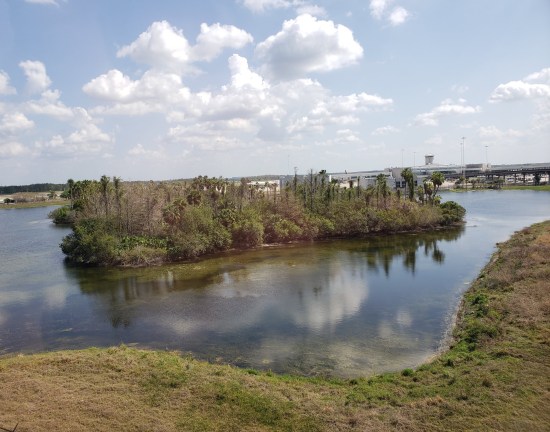 A lagoon with a reedy island in the middle.