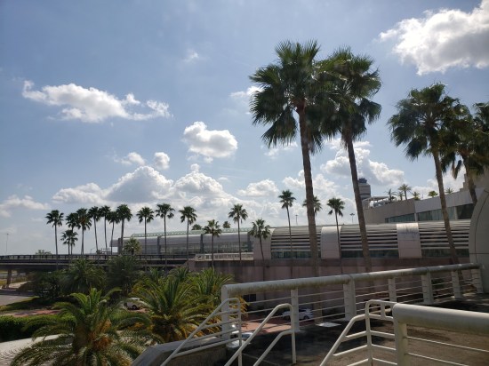 A huge airport with lots of palm trees and sunshine.