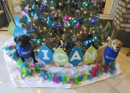 Two doggie statues sit beneath a Christmas three. Between them are four large cardboard pieces shaped like Christmas lights (two blue, two green) with the ICAN acronym on them.