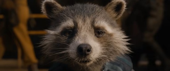 Close-up of Rocket Raccoon's pensive face.