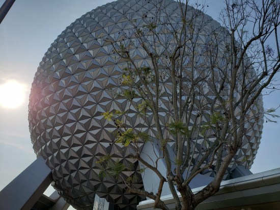 Closeup of the underside of that giant geodesic dome. The sun glints on one side and I ignored the leafless, springtime tree that got in the way of my shot.