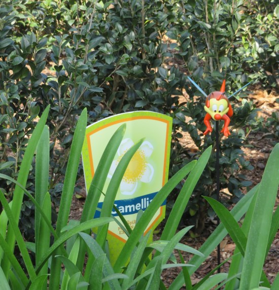 Tiny orange cartoon bee statue in the middle of greenery with a sign reading "Camellias". Not a single flower has bloomed yet.