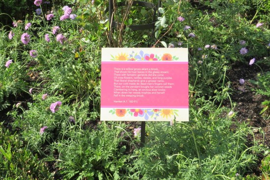A garden with a large sign amid the purple flowers, quoting "Hamlet" Act 4, Scene 7, lines 182-191.