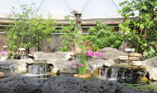 A pond with tiny waterfalls inside a geodesic dome. Bushes and purple flowers surround it.