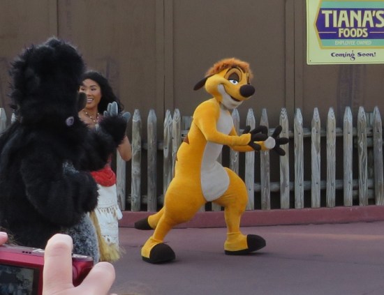 Timon cast member crouching and looking to clutch or grab something.