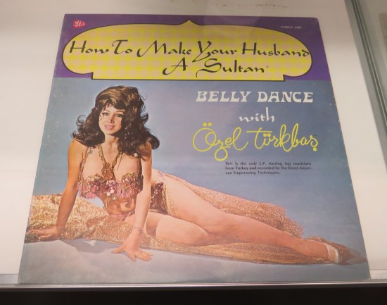 actual record called "Belly Dance with Özel Türkbaş: How to Make Your Husband a Sultan".