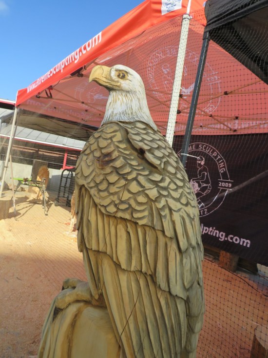 Stoic bald eagle carved from a log.