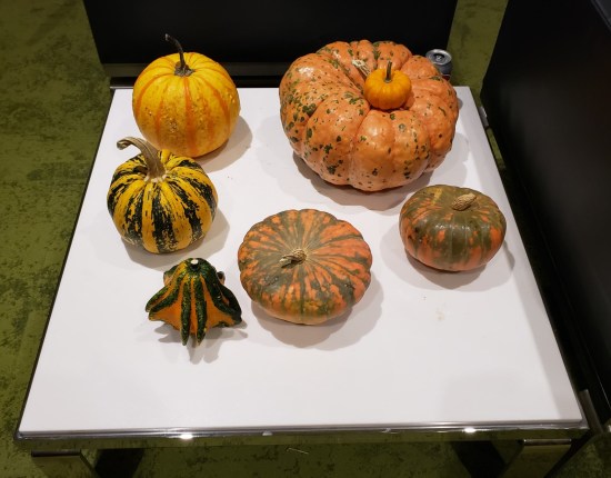 White side table with six gourds of different sizes and orange rinds.