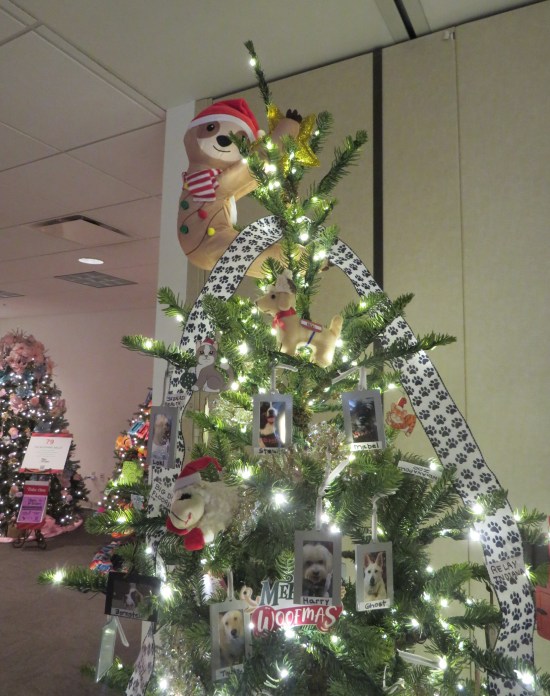 Christmas treetop with raccoon with Santa hat, lots of pet photos as ornaments.