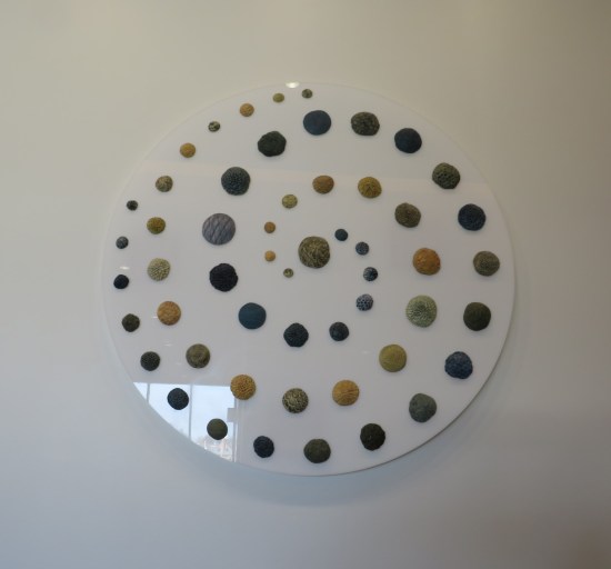 White disc hanging on a  wall with little clay domes arranged in a spiral on it.