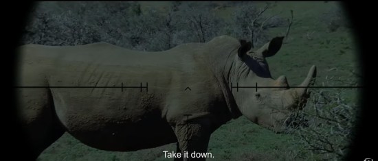 Sniper-scope view of a rhino on an African grassland. Subtitled dialogue, "Take it down."