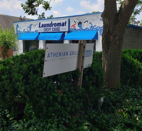 Tiny Athenian Grill sign in a parking lot nearly swallowed by bushes. Next door behind the sign is a laundromat in a white brick building with blue water sprays painted above the windows.