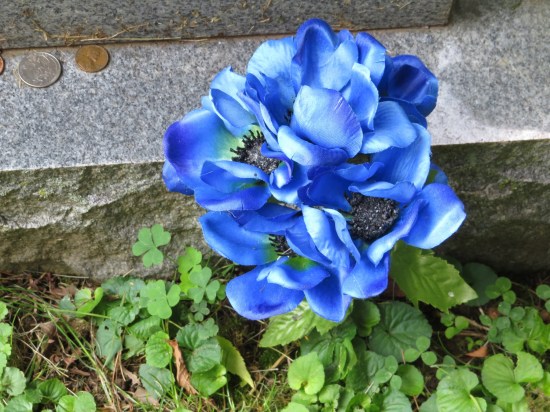 A blue rose at the foot of a tombstone.