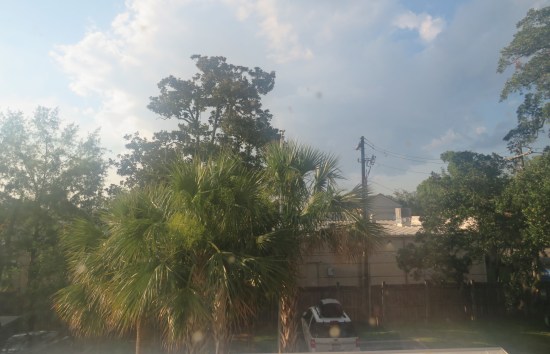 Refer to caption, trees cool, backs of buildings less so.