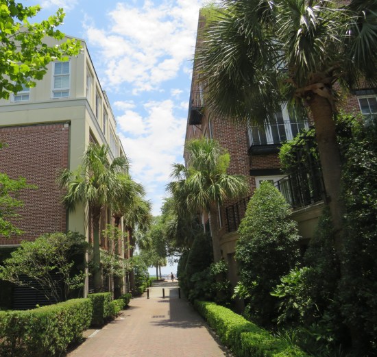 alley between buildings toward the harbor, with a mix of palm fronds and deciduous bushes.