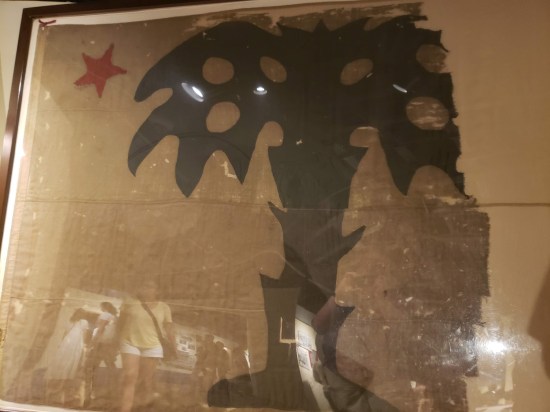 Palmetto Guard Flag remnants!