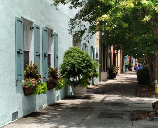 Sky-blue house with plant boxes holding some kind of palms.