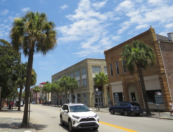 More palmettos along an ordinary city street, low traffic.