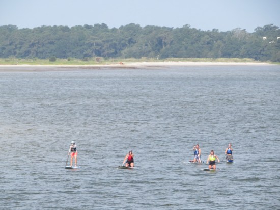 Five people in the harbor using surfboards or knee boards. Water is calm.