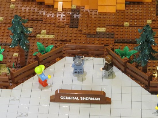 Lego people at the foot of the massive Lego sequoia.