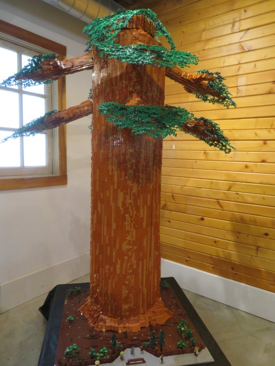 Lego sequoia as tall as me.
