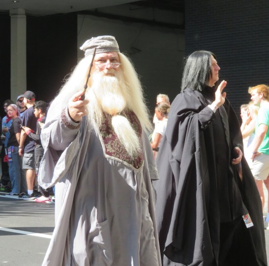 Dumbledore and Snape costumes