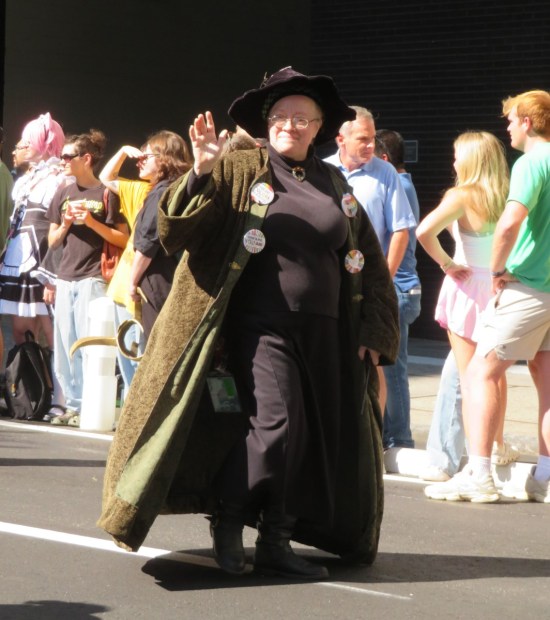 Professor McGonagall costume