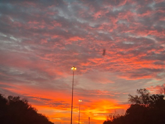 Early-morning red-orange sky streaked by thin clouds. Tree silhouettes line either side.