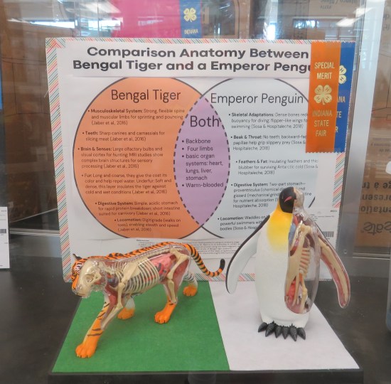 Venn diagram poster with little tiger and penguin toys in front of it, each with a cross-section removed and their guts illustrated inside.