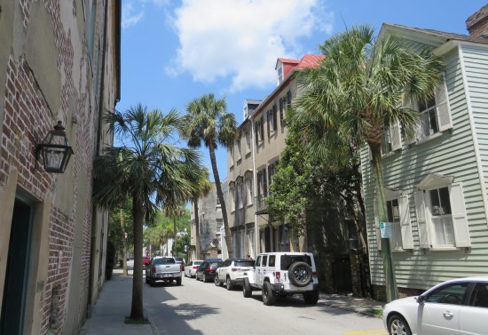 Another Charleston street in daytime lined with palmettos.