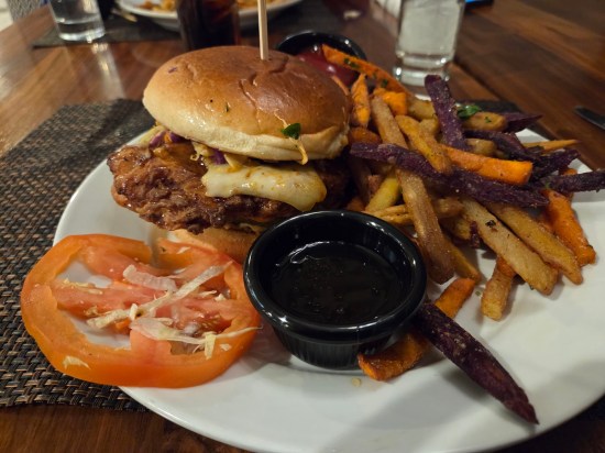 Moda chicken sandwich on plate with three-color fries and a tomato slice.