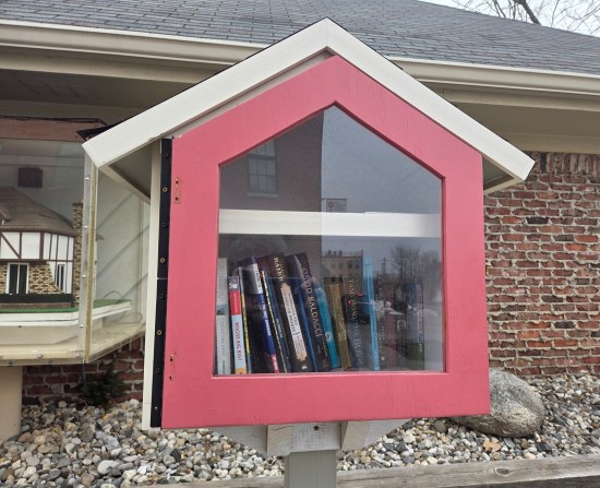 birdhouse shaped tiny library outside, red trim and white roof. Viisble authors include David Baldacci and Tami Hoag.
