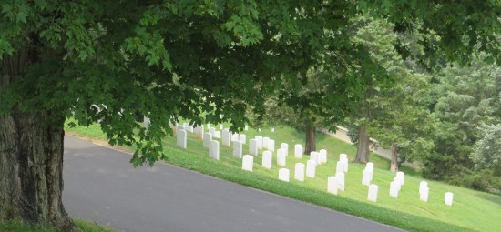 Dozens of white tombstones down a hill on the other side of a road.