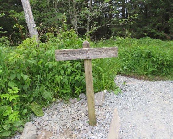 faded wooden sign indicating Appalachian Trail is somewhere in the forest ahead