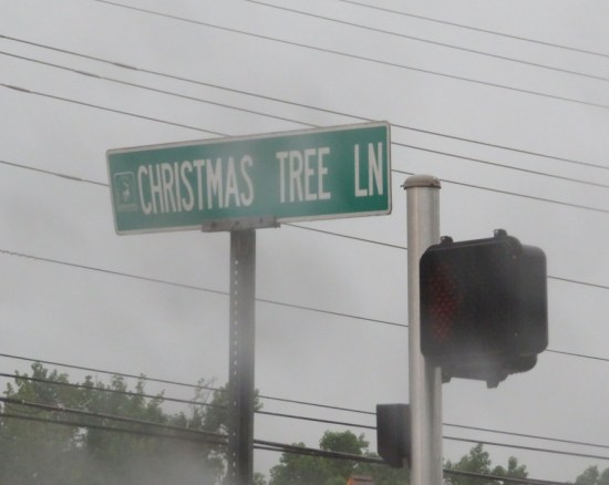 Christmas Tree Lane green street sign.