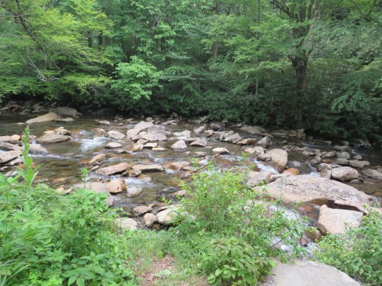 Creek full of rocks, surrounded by greenery.