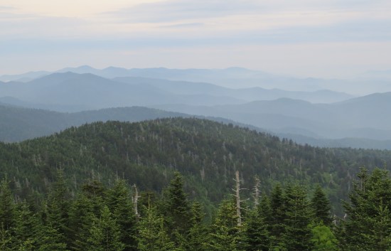 forested mountain range with distant mists and more dead trees jutting out from the greenery