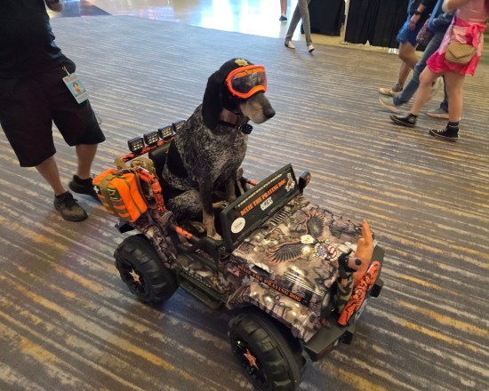 Gray and white dog wearing orange goggles and riding in a camouflage remote control jeep with the orange "Dixie the Praying Dog" logo on its front window.