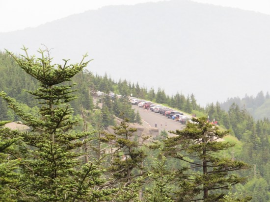 faraway parking lot down a forested mountainside