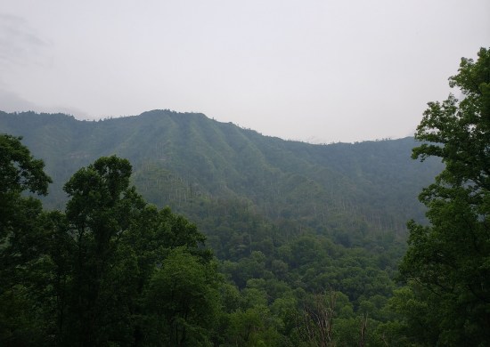 More mountains covered by trees and mists